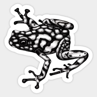 Harlequin poison frog illustration Sticker